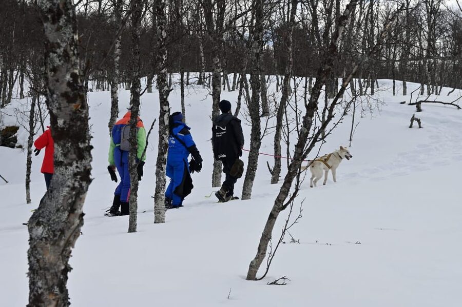 Oslo: Snowshoeing in the Forest with Norwegian BBQ - Snowshoes, fresh snow, and your own route