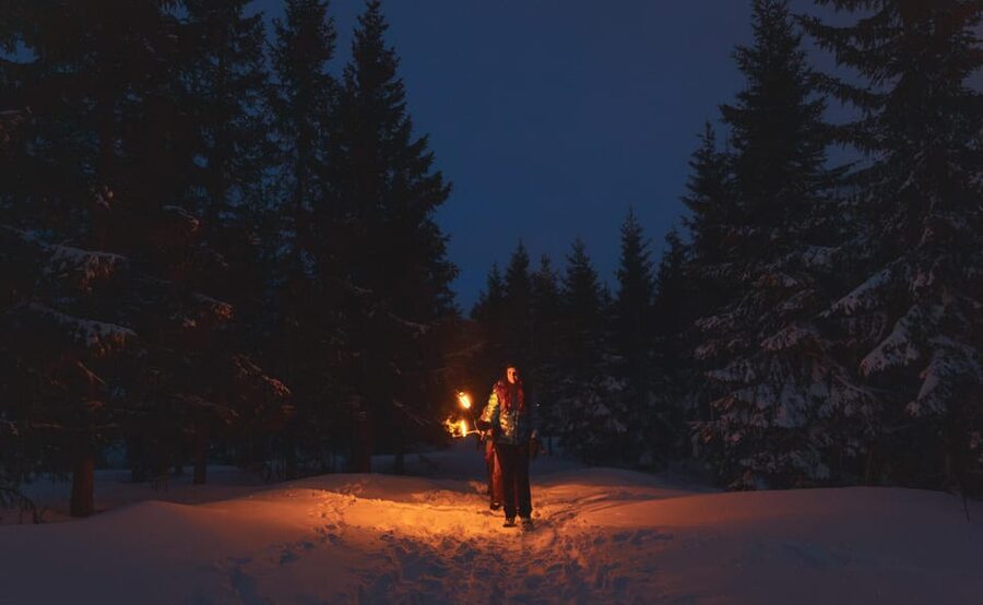 Oslo: Snowy Forest Torchlight Walk with Campfire - Key points to know before you book