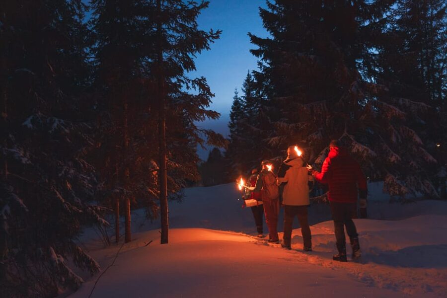Oslo: Snowy Forest Torchlight Walk with Campfire - From Oslo Central Station to Frognerseteren