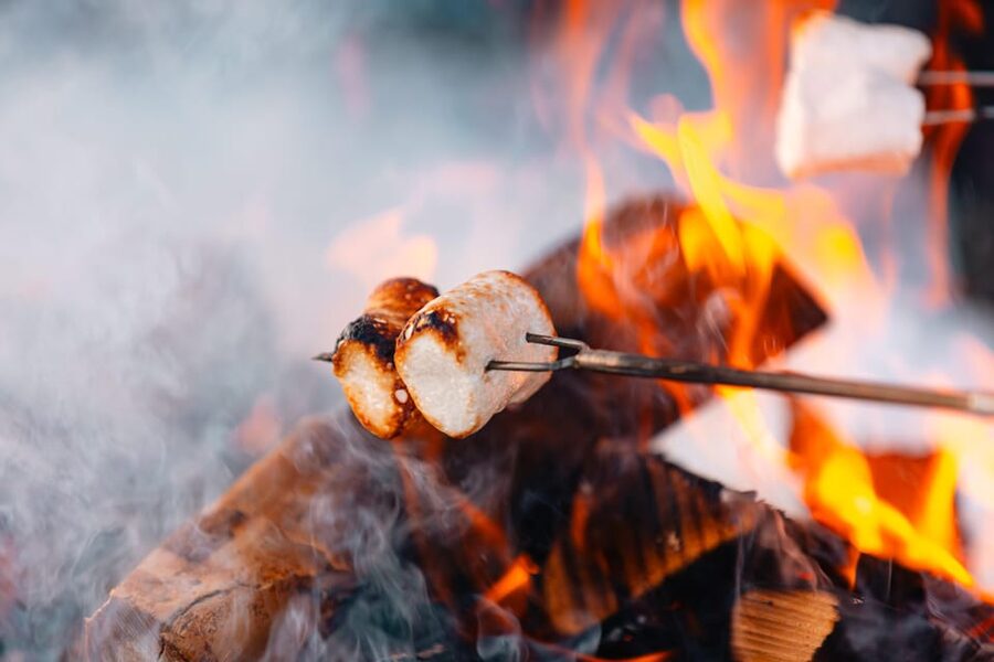 Oslo: Snowy Forest Torchlight Walk with Campfire - Should you book the torchlight walk?
