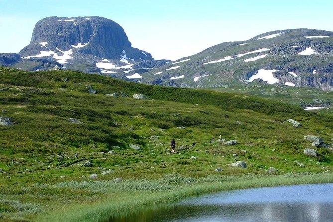 Oslo To Sognefjord Private Full Day Roundtrip Including Flam Railway - Geilo and the long road back to Oslo