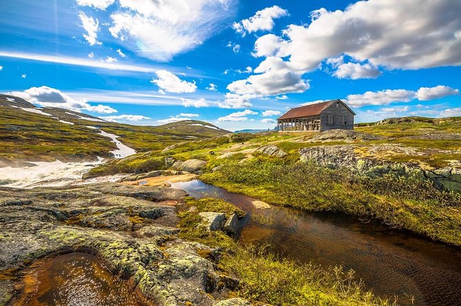 Oslo To Sognefjord Private Full Day Roundtrip Including Flam Railway - Who should book this day trip?