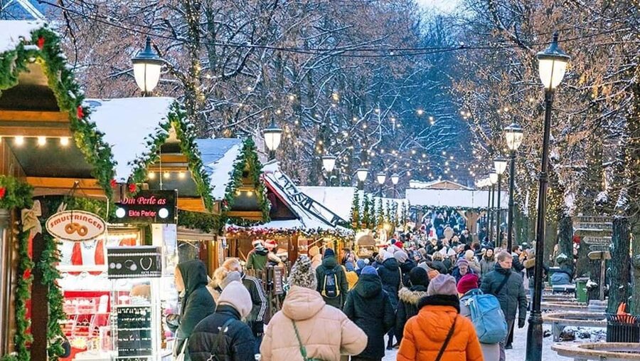 Oslo: Tour with a Michelin star chef - Key points to know before booking
