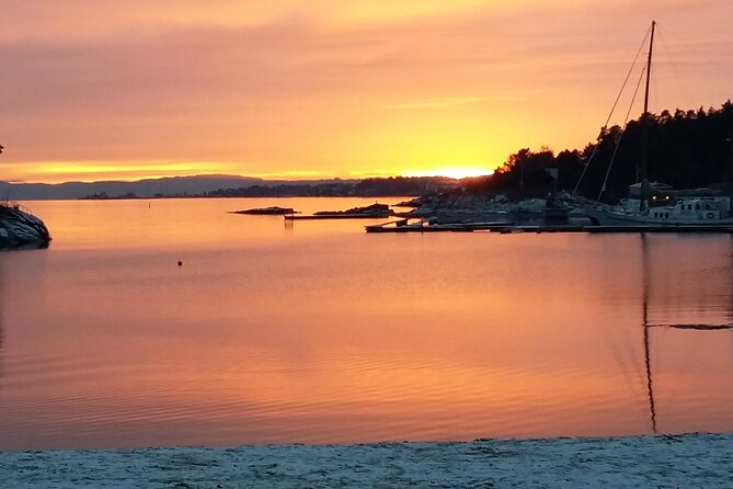 Oslo Winter Highlights Bike Tour - The guides are a major part of the experience