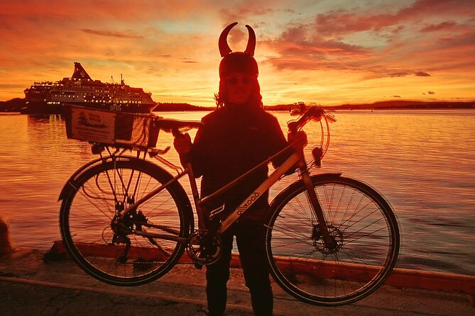 Oslo Winter Highlights Bike Tour - Walking the roof of the Opera House
