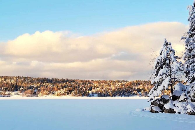 Oslo: Winter wonderland forest hike & campfire with a dog - Key points to know before you go