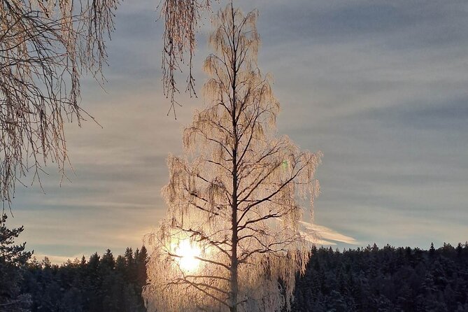 Oslo: Winter wonderland forest hike & campfire with a dog - Waffles and hot drinks beside Gjersjøen