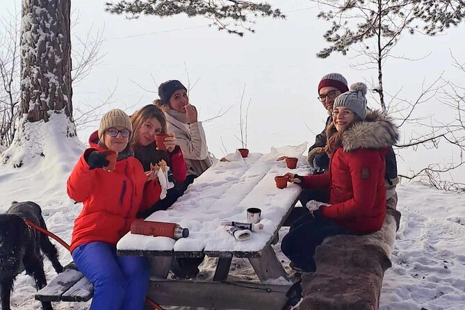 Oslo: Winter wonderland forest hike & campfire with a dog - What the $150.07 price gets you