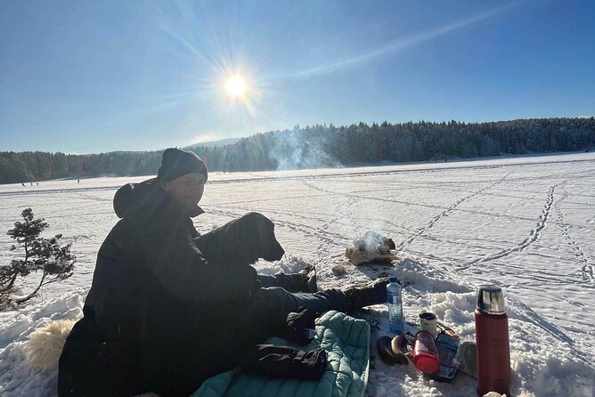 Oslo: Winter wonderland forest hike & campfire with a dog - Six practical questions to settle before booking