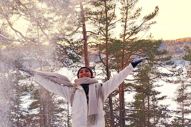 Oslo: Winter wonderland forest hike & campfire with a dog - Climbing Ingieråsen for the big view