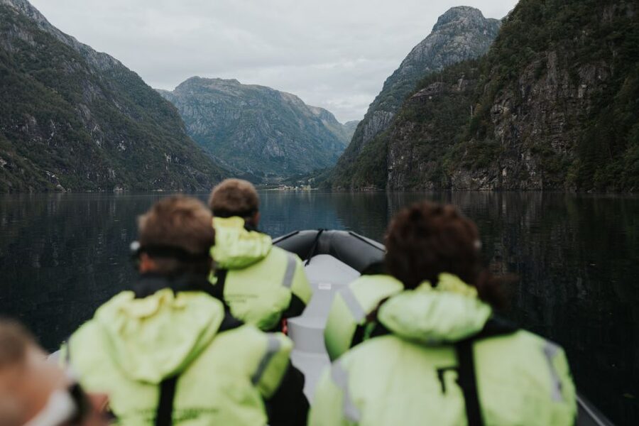 Øystese: Hardangerfjord RIB safari to the Fyksesund branch - Key points to know before you book