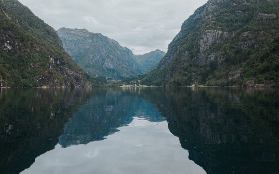 Øystese: Hardangerfjord RIB safari to the Fyksesund branch - Value, booking flexibility, and practical planning