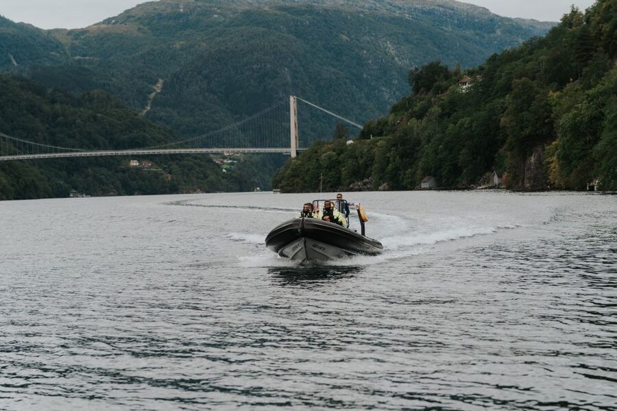 Øystese: Hardangerfjord RIB safari to the Fyksesund branch - Why Fyksesund is worth an hour of your Norway trip