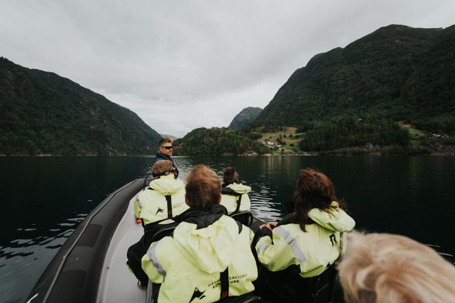 Øystese: Hardangerfjord RIB safari to the Fyksesund branch - Guide style, language, and the human side of the trip