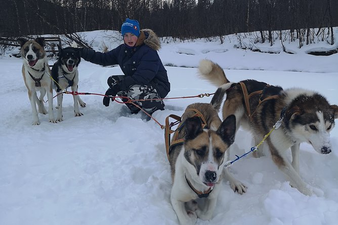 Privat sled trip with husky in the alta valley - Pickup from Alta and the short trip to the kennel