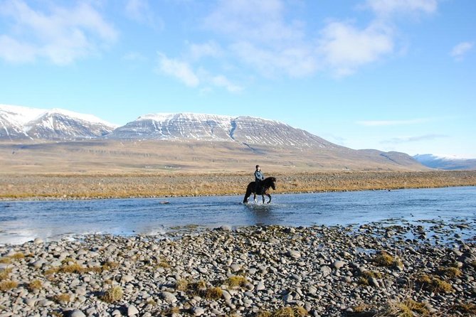 Private 3-Hour Horseback Riding Tour - Why the Icelandic horse changes the ride