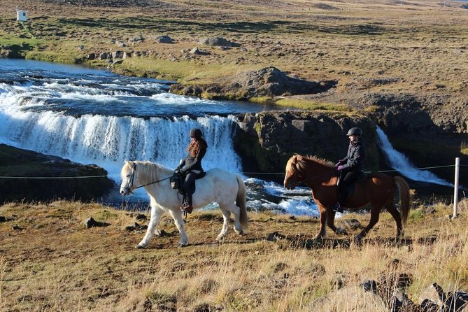 Private 3-Hour Horseback Riding Tour - Private pricing and overall value