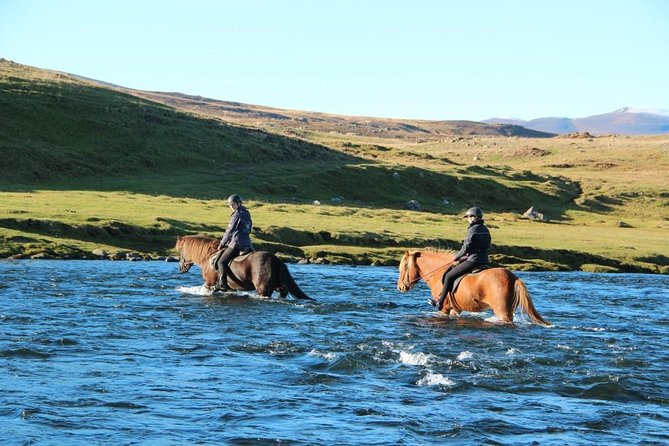 Private 3-Hour Horseback Riding Tour - Who should choose this horseback tour