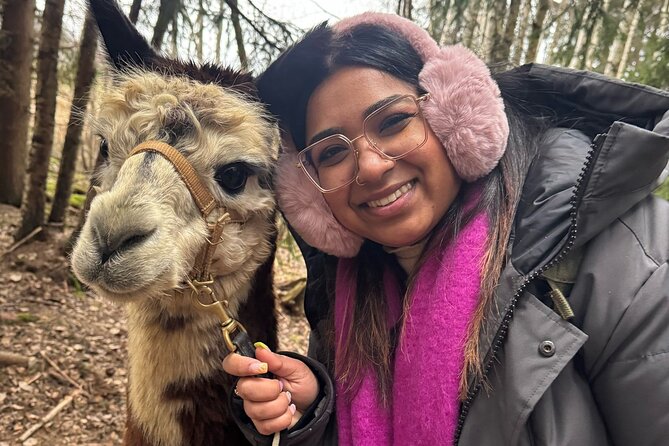 PRIVATE Alpaca Guided Forest Walk + Feeding Helsinki - Is $239.65 per person good value?