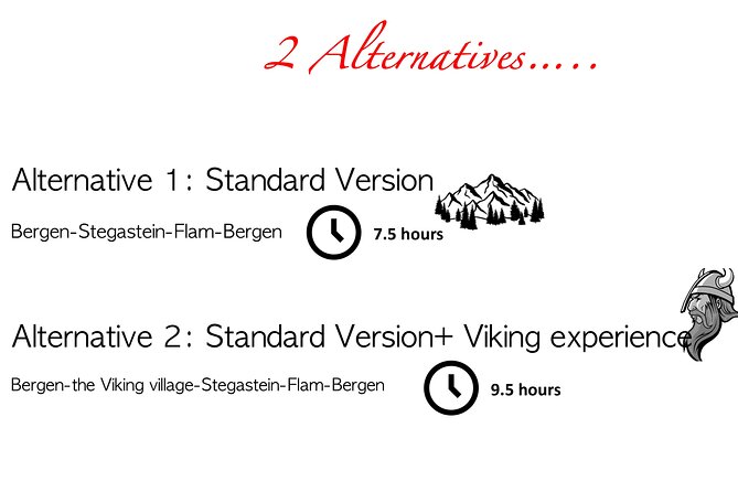 Private Day Tour to Flam and Stegastein - Stegastein Viewpoint and the Aurlandsfjord panorama