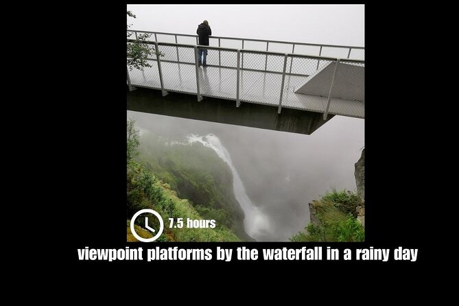Private day tour to the Vorings Waterfall— Norway's most visited - Choosing Between the Viewpoint and the Plunge Pool