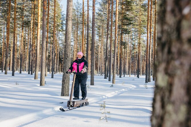 Private Driving Snow Scooters Experience in Finland - How this compares with a standard snowmobile safari