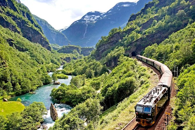 Private Full-Day Round Trip from Oslo to Sognefjord via Flåm Railway - The Flåm Railway from Myrdal