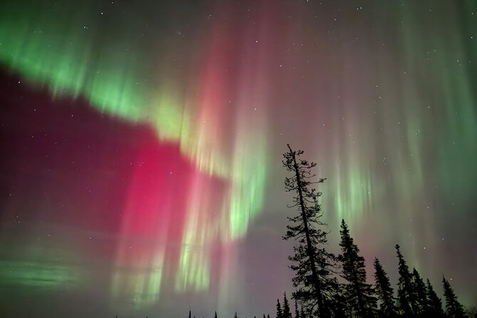 Private Group: Northern Lights Hunt 4x4 SUV with Aurora guarantee - Fires, frozen rivers, and the value of waiting