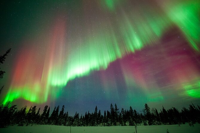 Private Group: Northern Lights Hunt 4x4 SUV with Aurora guarantee - Families, couples, and serious aurora chasers