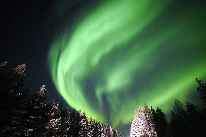 Private Group: Northern Lights Hunt 4x4 SUV with Aurora guarantee - A private 4x4 instead of a crowded departure
