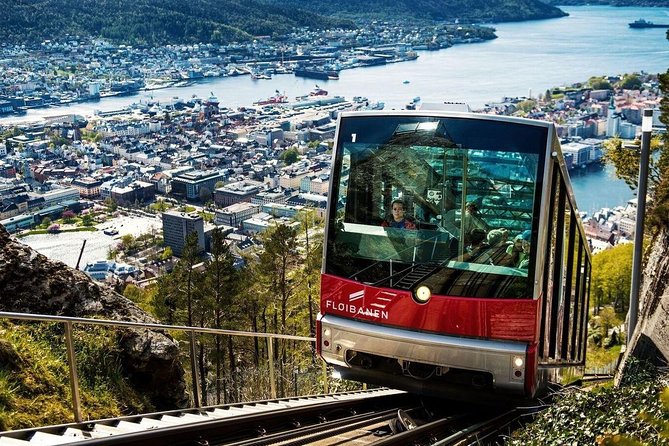 Private Guided City Sightseeing - Bergens Top Attractions - Bryggen, Bergen’s wooden trading quarter