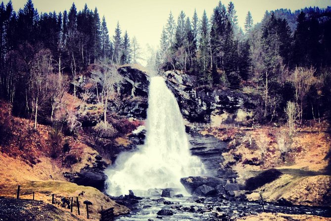 PRIVATE GUIDED TOUR: Queen of the Fjords - tour from Bergen, 6 hours - Lunch, snacks, and the local touches