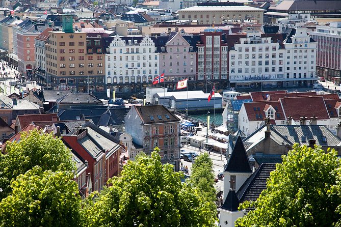 PRIVATE TOUR: Bergen city sightseeing, 3 hours - Comparing Gamle Bergen and Gamlehaugen