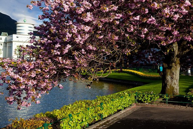 PRIVATE TOUR: Bergen city sightseeing, 3 hours - Trading the museum for Mount Ulriken