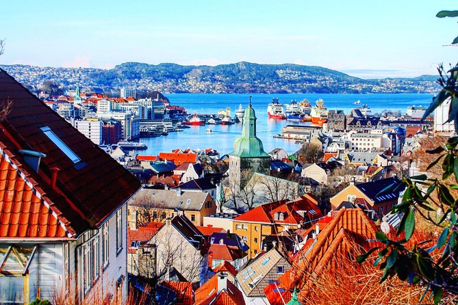 PRIVATE TOUR: Bergen city sightseeing, 3 hours - What the private vehicle adds