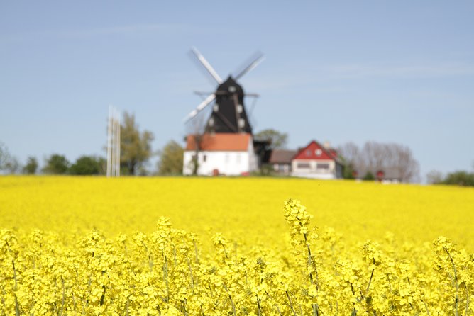 Private tour Copenhagen to Lund & Malmö City daytrip - Weather, timing, and the small details that matter