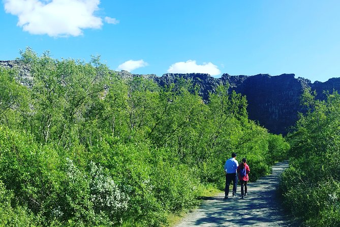 Private Tour in Northern Iceland from Akureyri - Skutustaoagigar offers a gentler volcanic stop