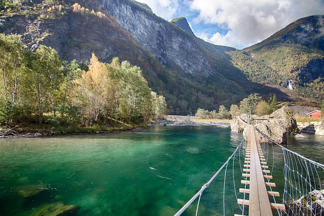 Private tour to Sognefjord and Flåm from Bergen, 24 hr refundable - Nærøyfjord and Aurlandsfjord by boat