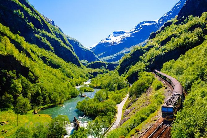 Private tour - Viking Village, Nærøyfjord Cruise and Flåm Railway - Cruising the narrow Nærøyfjord