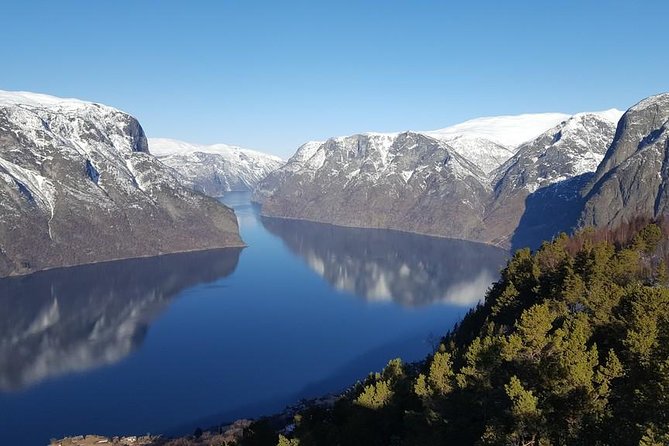 Private tour - Viking Village, Nærøyfjord Cruise and Flåm Railway - Myrdal and the Bergen Railway return