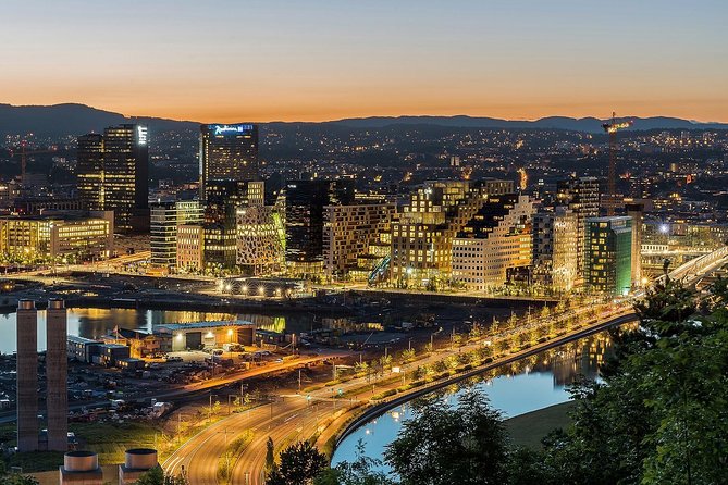 Private Transfer from Oslo Airport to Oslo City Centre - Meeting the driver and loading your luggage