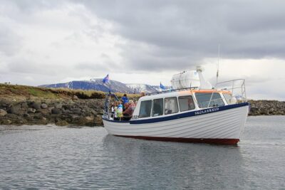 Puffin Cruise with Expert Tour Guide from Reykjavik