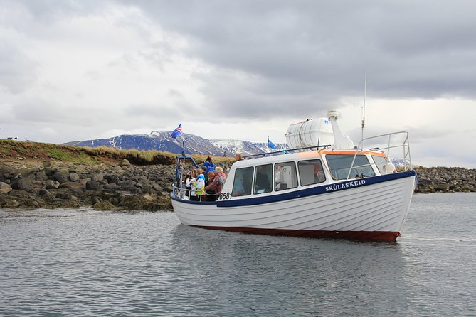 Puffin Cruise with Expert Tour Guide from Reykjavik - What you see around Akurey Island