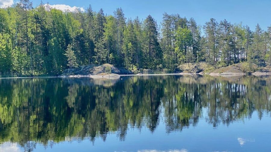 Puumala: Lake Saimaa Seal Watching Cruise - Why the season affects your chances