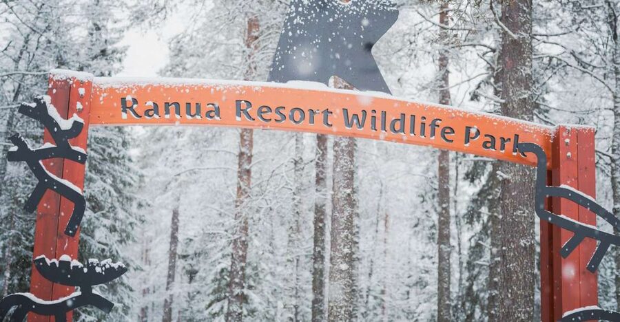 Ranua Wildlife Park Day: Visit the Arctic Animals - Booking details that matter