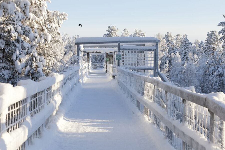 Ranua Wildlife Park Guided Tour from Rovaniemi - The restaurant stop and Fazer sweets shop