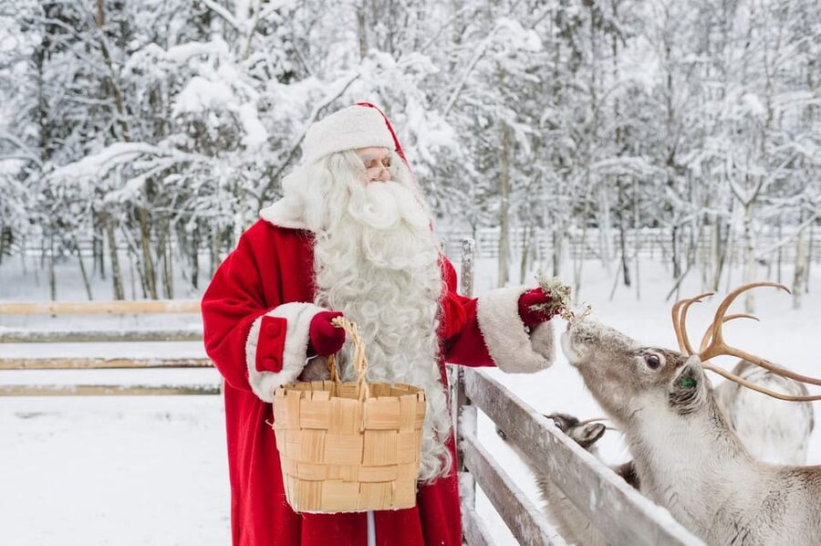 Reindeer Farm Visit with Sleigh Ride - The guide can make or break the visit