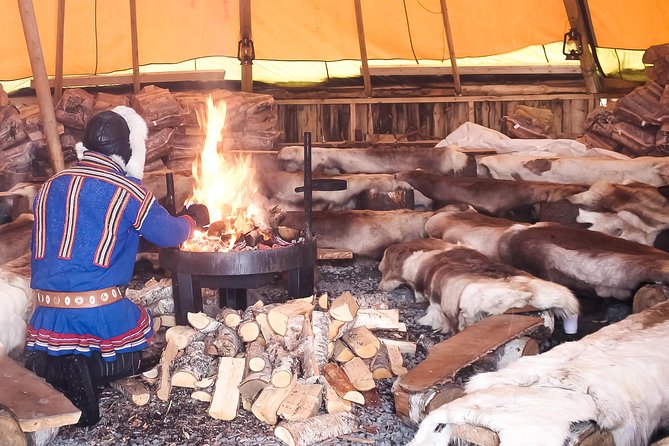 Reindeer Feeding and Sami Culture Including Lunch from Tromso - Booking, cancellation, and practical details