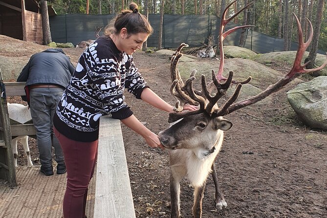 Reindeer Park Adventure - Timing, pickup, and cruise-day planning