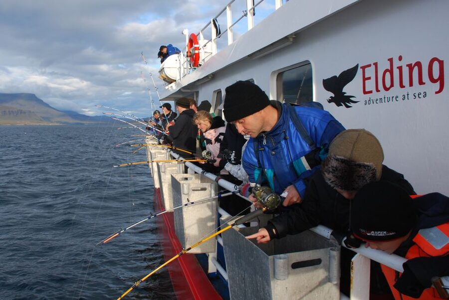 Reykjavik: 3-Hour Sea Angling Gourmet Experience Tour - Group size affects your comfort